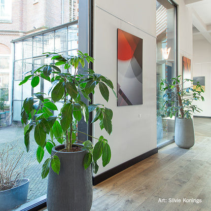 STAS cimaises, gamme complète pour toutes applications.